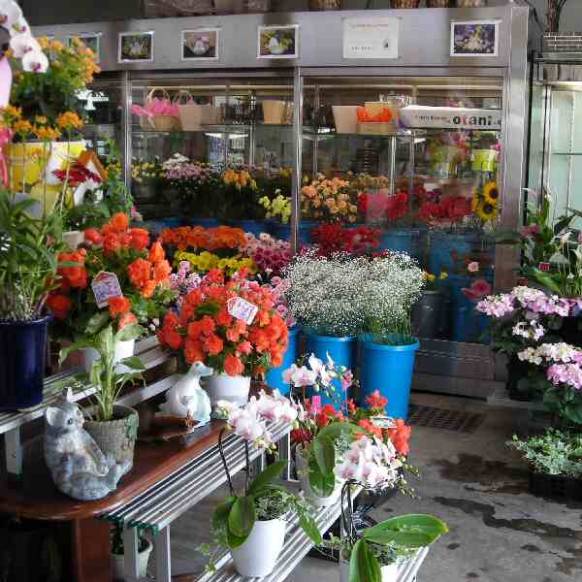 「花の丘　カウベル」　（愛知県長久手市）の花屋店舗写真2
