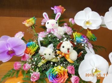 動物病院の開院御祝い、配達完了です。｜「花の丘　カウベル」　（愛知県長久手市の花キューピット加盟店 花屋）のブログ