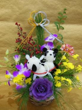 馬に乗るパンダ？｜「花の丘　カウベル」　（愛知県長久手市の花キューピット加盟店 花屋）のブログ