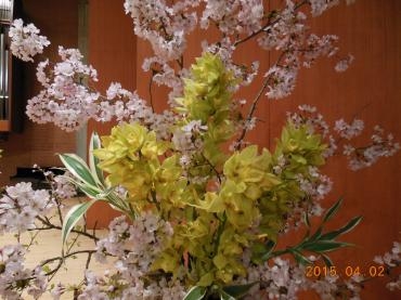 新入学おめでとうございます｜「花の丘　カウベル」　（愛知県長久手市の花キューピット加盟店 花屋）のブログ