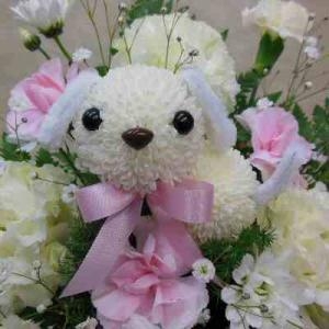 ペットに御供えの花｜「花の丘　カウベル」　（愛知県長久手市の花キューピット加盟店 花屋）のブログ