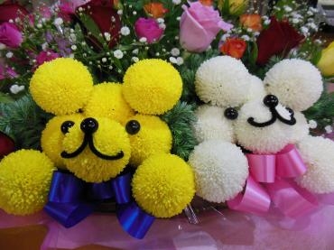 おまたせしました！！リニューアルオープンです｜「花の丘　カウベル」　（愛知県長久手市の花キューピット加盟店 花屋）のブログ