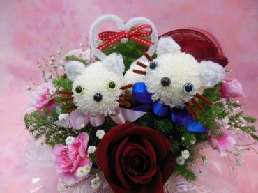 仲良し子猫｜「花の丘　カウベル」　（愛知県長久手市の花キューピット加盟店 花屋）のブログ