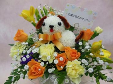 春ですね～｜「花の丘　カウベル」　（愛知県長久手市の花キューピット加盟店 花屋）のブログ