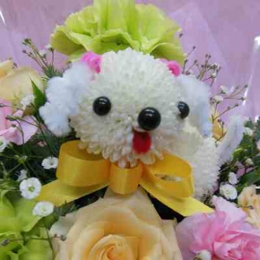 ぴんぽんトイプー