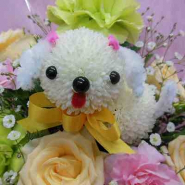 ぴんぽんトイプー