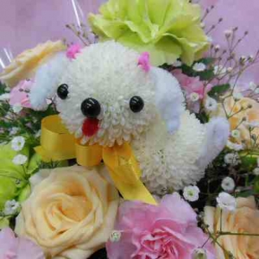 ぴんぽんトイプー