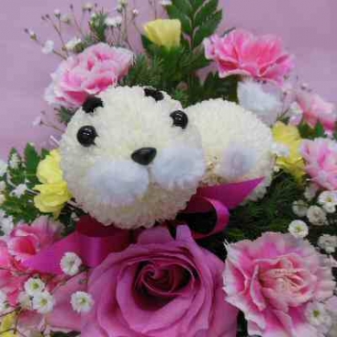 ぴんぽんゴマちゃん