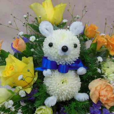 ぴんぽんベア(ホワイト・ブルーリボン)