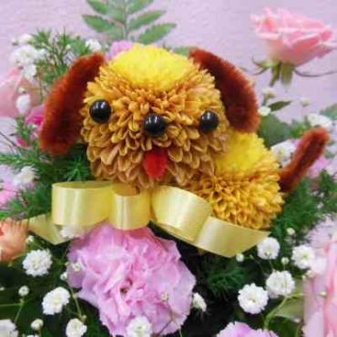 ぴんぽんわんこ(茶)