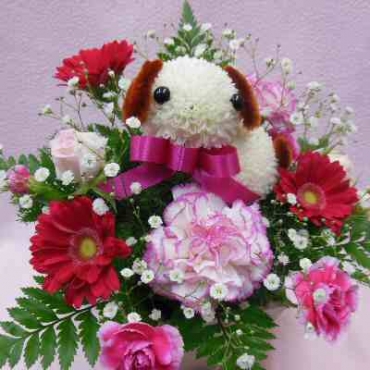 ぴんぽんロップちゃん