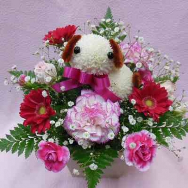 ぴんぽんロップちゃん