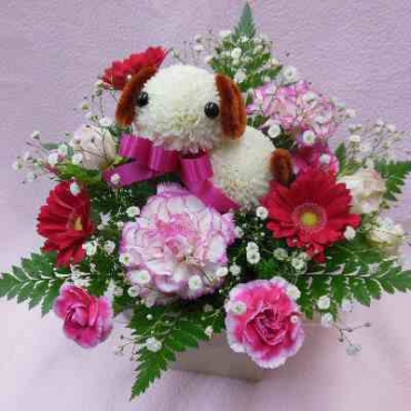 ぴんぽんロップちゃん