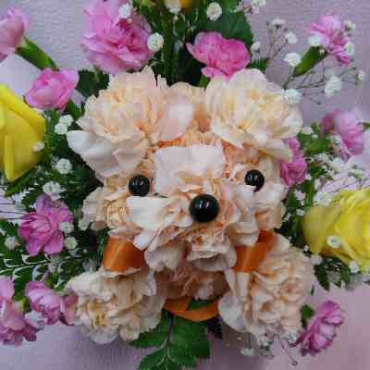 BIGフェイスベア