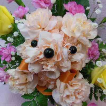 BIGフェイスベア