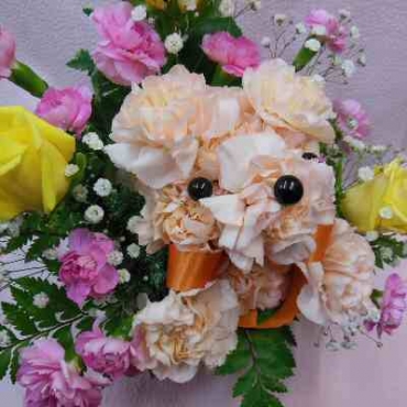 BIGフェイスベア