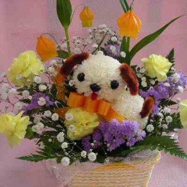 ぴんぽんわんこ