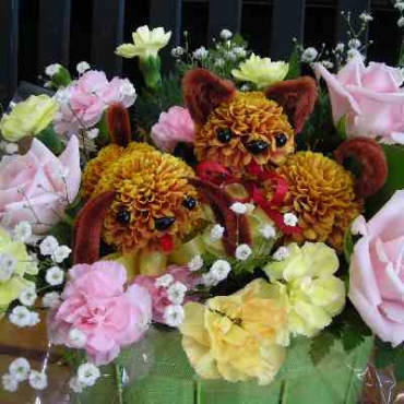 ぴんぽんペアドッグ