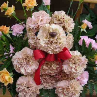 テディベアーアレンジ